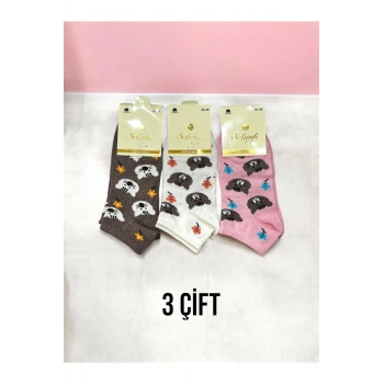 Pamuklu Kabartmalı Patik/Bilek/Kısa Kadın Çorap 3lü