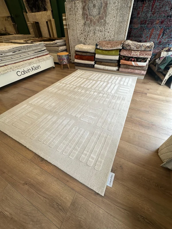 Destan Halı Pure Lines Robot Süpürgeye Uygun Modern Desenli Kolay Temizlenebilir Salon Halısı A2383B Bej