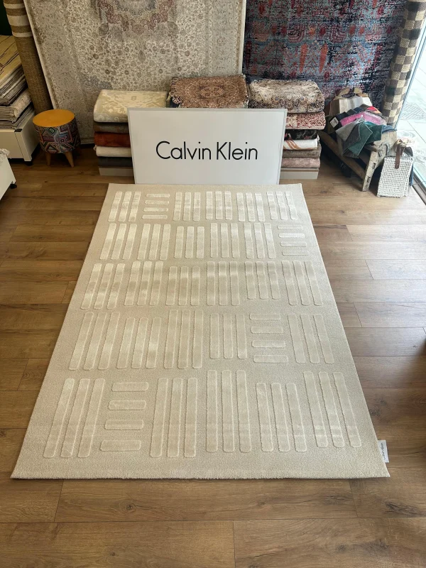 Destan Halı Pure Lines Robot Süpürgeye Uygun Modern Desenli Kolay Temizlenebilir Salon Halısı A2383B Bej