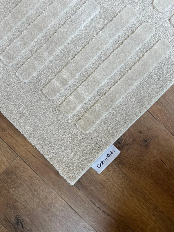 Destan Halı Pure Lines Robot Süpürgeye Uygun Modern Desenli Kolay Temizlenebilir Salon Halısı A2383B Bej