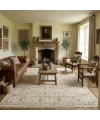 Destan Halı Antia AA04 Modern Salon Halısı