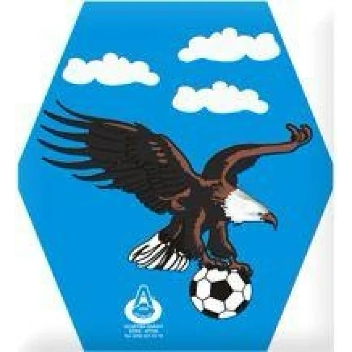 İpli Kuyruklu Uçurtma Etkinlik Seti | Çocuklar İçin Eğlenceli Şenlik ve Açık Hava Aktivitesi