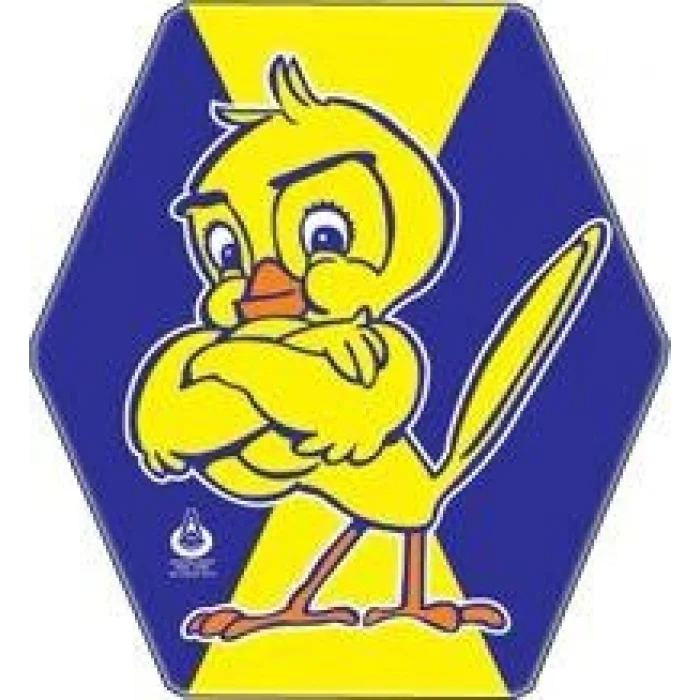 İpli Kuyruklu Uçurtma Etkinlik Seti | Çocuklar İçin Eğlenceli Şenlik ve Açık Hava Aktivitesi