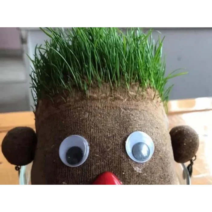 Çim Adam Yapım Seti Aktivite Atölye Etkinlik