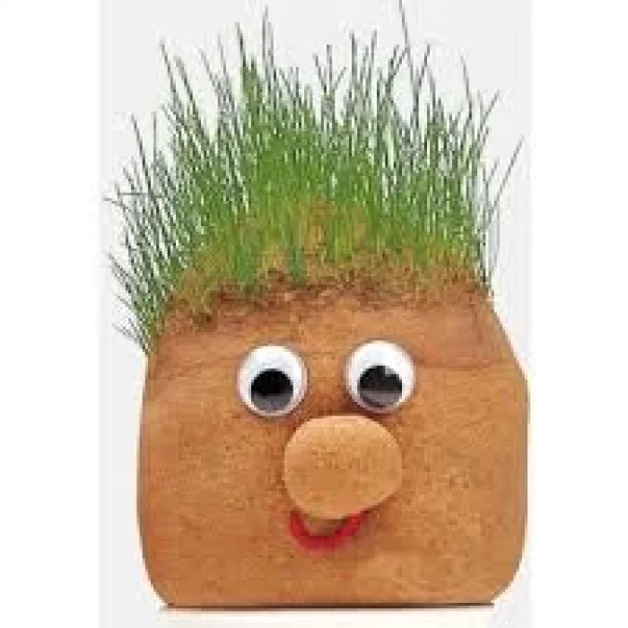 Çim Adam Yapım Seti Aktivite Atölye Etkinlik