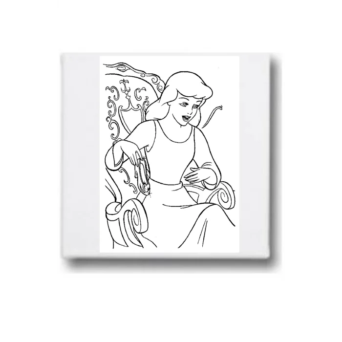 Sinderella 2 Tuval Seti | Atölye Etkinlik 20x20 Tuval (6’lı Boya + Fırça Dahil)