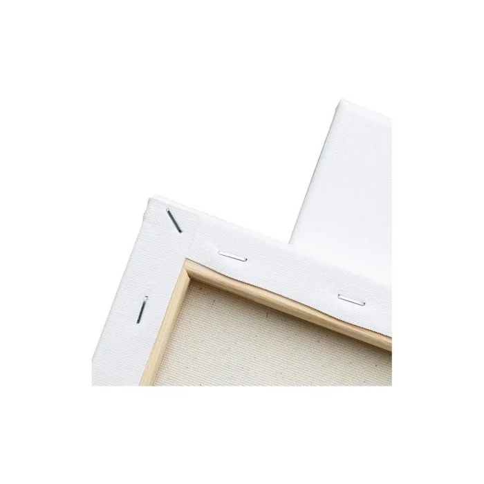 Salyangoz Temalı Tuval Seti | Atölye Etkinlik 20x20 Tuval (6’lı Boya + Fırça Dahil)