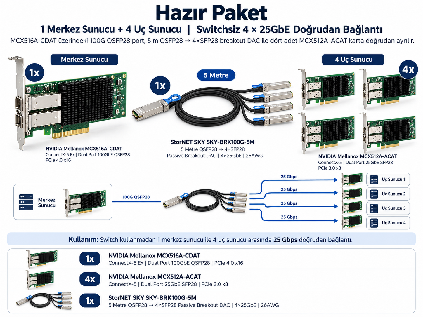 100G→4×25G Mellanox ConnectX-5 Breakout Ağ Paketi
