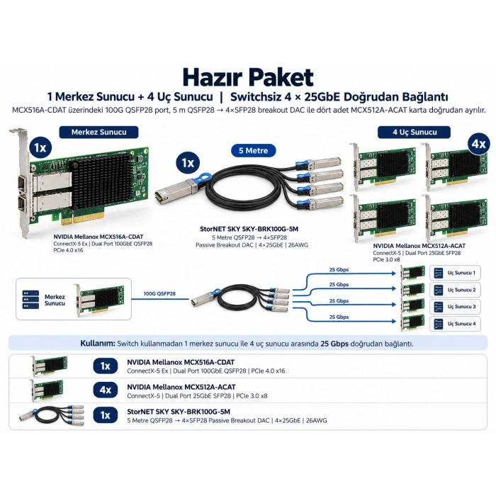 100G→4x25G Mellanox Bundle Set — ConnectX-5 Breakout | LinkReal