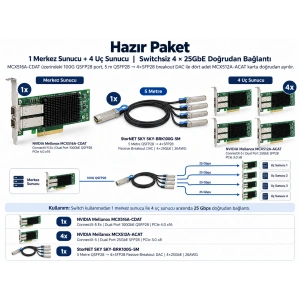 100G→4x25G Mellanox Bundle Set — ConnectX-5 Breakout | LinkReal