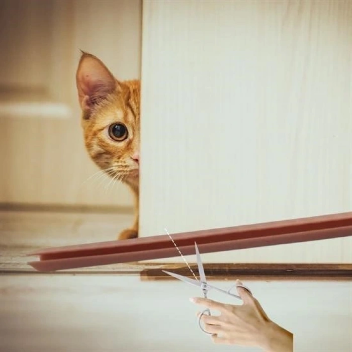 Leyloş  4 Adet Kapı Toz Rüzgar Önleyici Isı Yalıtımı Sağlayan Sızdırmaz Strafor