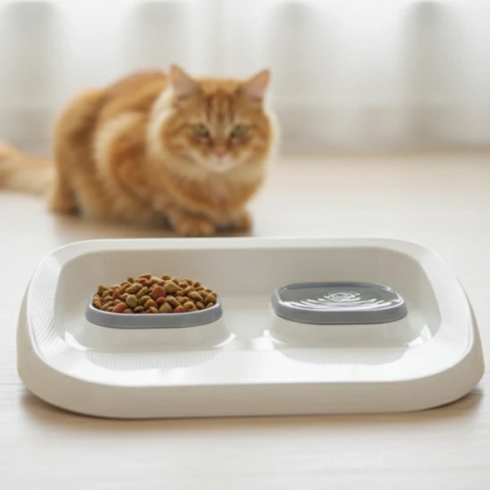 Leyloş Gri 2si 1 Arada Mama Ve Su Kabı