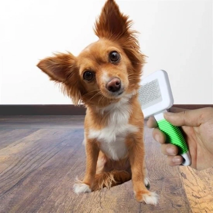 Leyloş Kedi Köpek Telli Küçük Boy Tüy Bakım Seti Evcil Hayvan Tarama Fırçası