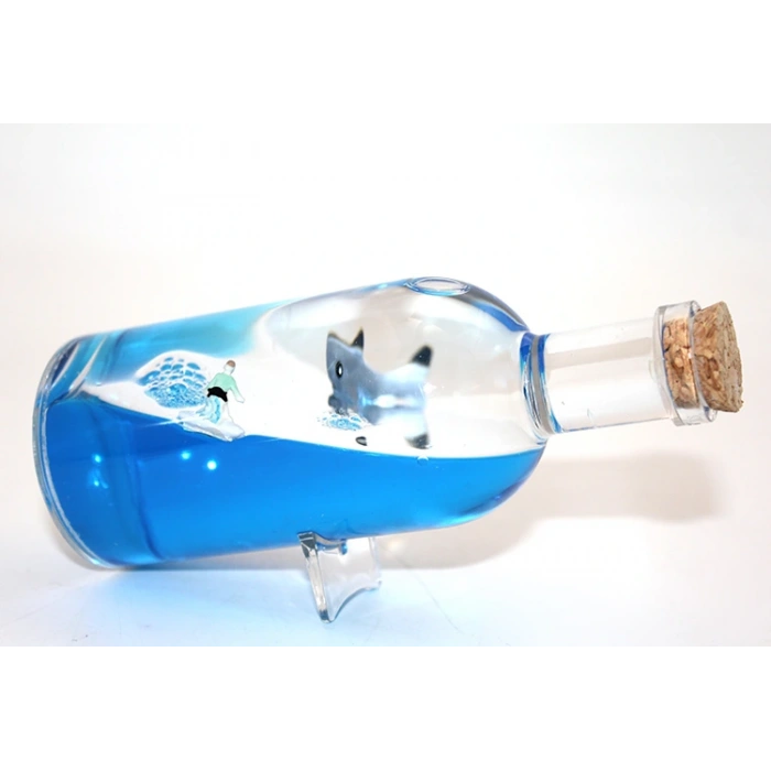 Şişe İçinde Batmayan Gemi Model 2