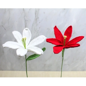 El Örgüsü Zambak Çiçeği