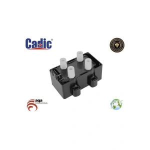 Renault Clio - Megane Ateşleme Bobini 1991--2003