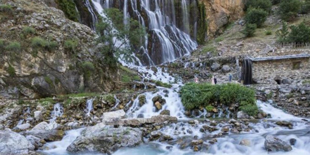 SOSYALLİK