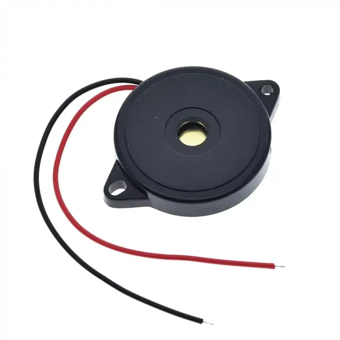 Pasif Buzzer 30X5.5 MM