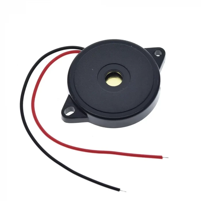 Pasif Buzzer 30X5.5 MM