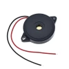 Pasif Buzzer 30X5.5 MM