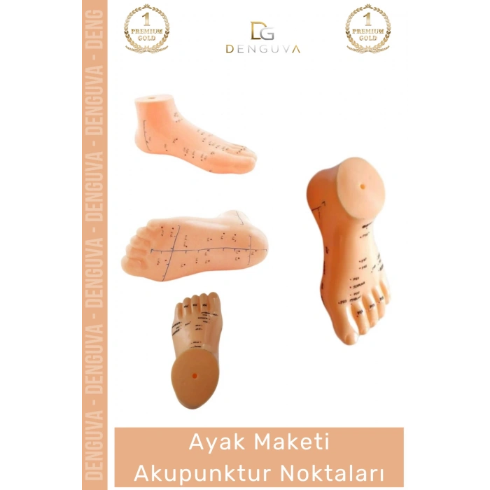 #MaketAyak Profesyonel Medikal Plastik Anatomik Refleksoloji 20Cm Ayak Maketi Akupunktur Noktası