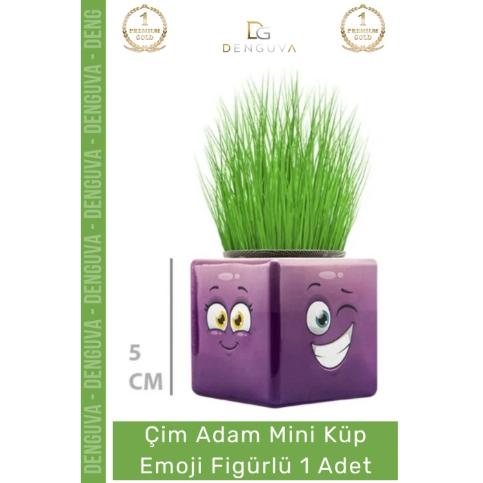 #ÇimAdam Hediyelik Eğitici Dekoratif Canlı Bitki Saksı Çim Adam Mini Küp Emoji Figürlü - 1 Adet