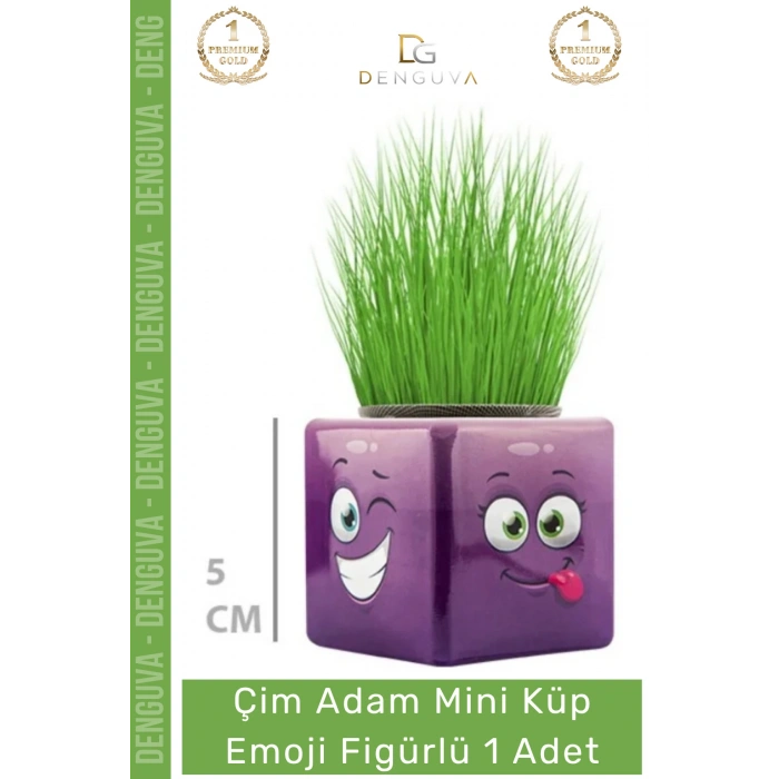 #ÇimAdam Hediyelik Eğitici Dekoratif Canlı Bitki Saksı Çim Adam Mini Küp Emoji Figürlü - 1 Adet