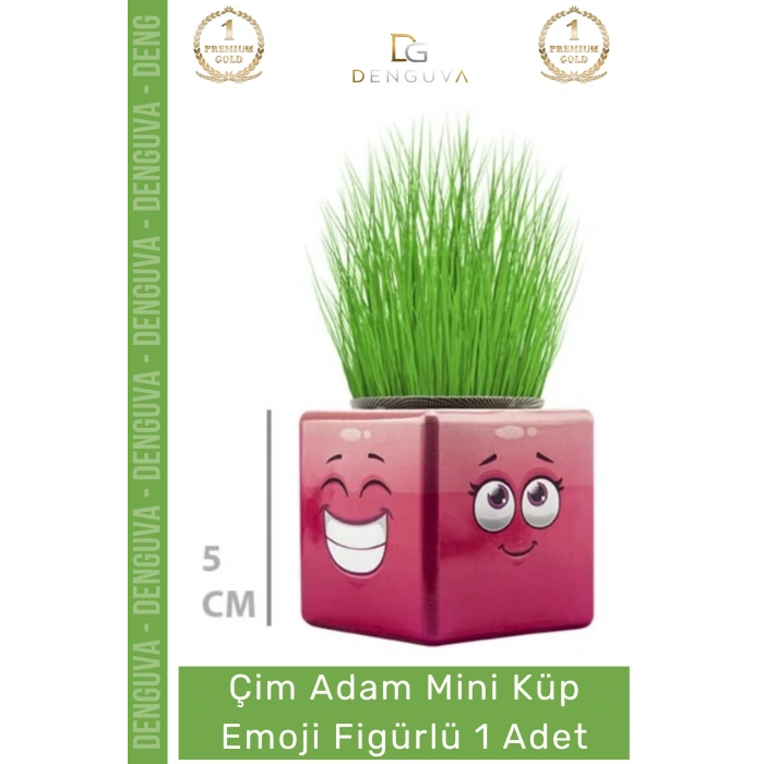 #ÇimAdam Hediyelik Eğitici Dekoratif Canlı Bitki Saksı Çim Adam Mini Küp Emoji Figürlü - 1 Adet