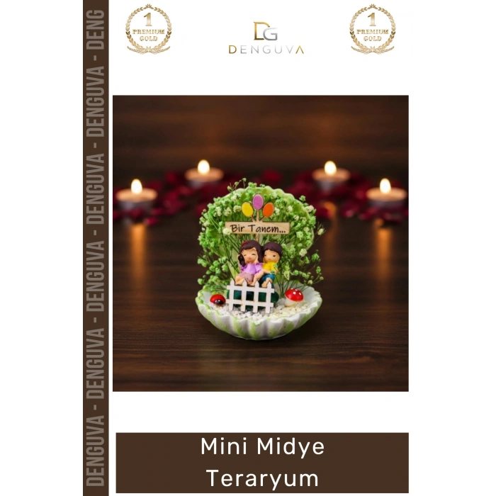 #Hediye Dekoratif Masaüstü Ofis Minyatür Hediye Canlı Renkli Figürlü Estetik Kalıcı Mini Midye Teraryum