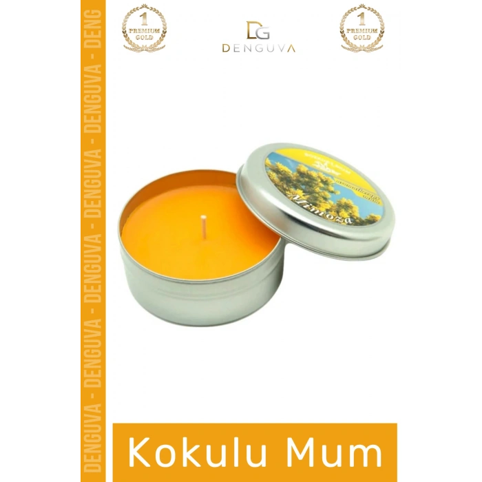 #Mum Dekoratif Hediyelik Şık Modern Tasarım Metal Kutu Kokulu Mum Oda Kokusu 120G Teneke Kutu