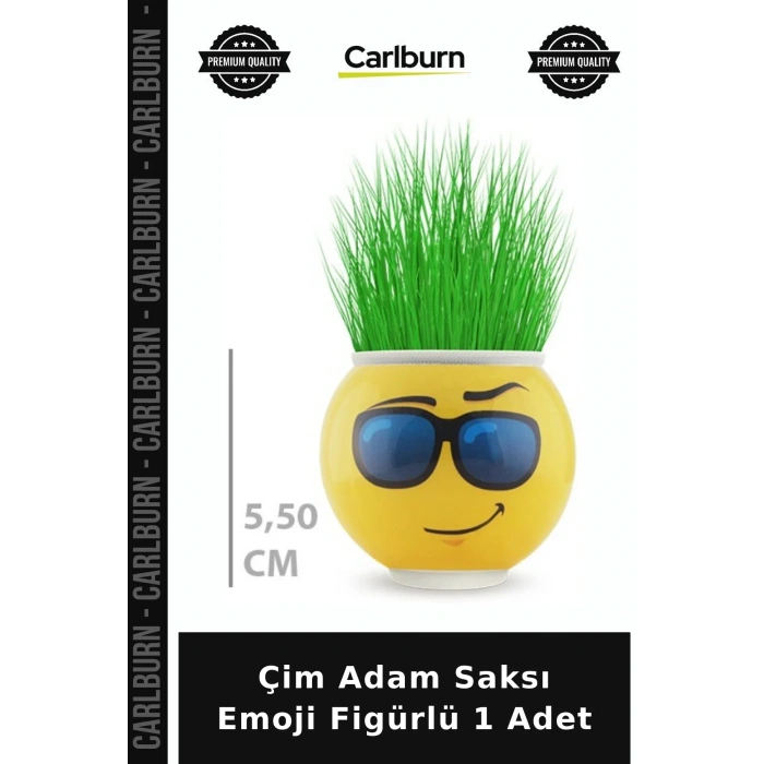 Çim Adam Saksı Emoji Figürlü 1 Adet Sevimli Hediye Bitki Seti Doğa Sever