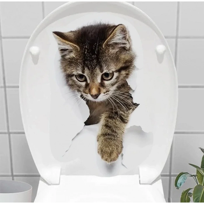 Decohandy Klozet Etiketi Stray Cat Ev Hediyesi Duvar Süsü Modern Dokunuş
