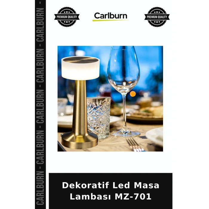 Dekoratif Led Masa Lambası MZ-701 Salon Lambası Stil Sahibi Lamba