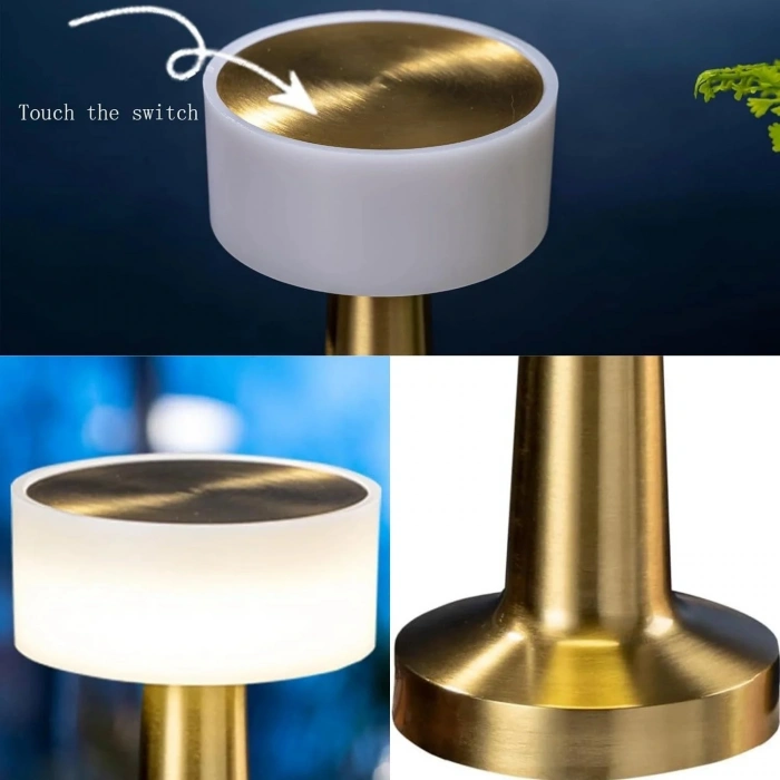 Dekoratif Led Masa Lambası MZ-701 Salon Lambası Stil Sahibi Lamba