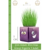 #ÇimAdam Hediyelik Eğitici Dekoratif Canlı Bitki Saksı Çim Adam Mini Küp Emoji Figürlü - 1 Adet