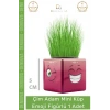 #ÇimAdam Hediyelik Eğitici Dekoratif Canlı Bitki Saksı Çim Adam Mini Küp Emoji Figürlü - 1 Adet