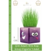 #ÇimAdam Hediyelik Eğitici Dekoratif Canlı Bitki Saksı Çim Adam Mini Küp Emoji Figürlü - 1 Adet
