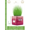#ÇimAdam Hediyelik Eğitici Dekoratif Canlı Bitki Saksı Çim Adam Mini Küp Emoji Figürlü - 1 Adet