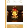 #Fanus Romantik Sevgililer Günü Yıldönümü Işıklı Dekoratif Şeffaf Ayıcıklı Ledli Gül Fanus