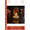 #Fanus Sevgiliye Hediye Romantik Işıklı Dekoratif Işığı Yapay Balonlu Ayıcık Ledli Gül Fanus