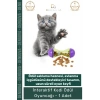 #KediOyuncağı İnteraktif Kedi Avlanma İçgüdüsü Destekleyici Dayanıklı Mor Yeşil Ödül Mamalı Oyuncak