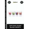 Çift Camlı Çiçekli Bardak Cam Kupa Sunum Bardağı Sofralık