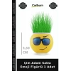 Çim Adam Saksı Emoji Figürlü 1 Adet Sevimli Hediye Bitki Seti Doğa Sever