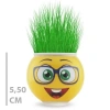 Çim Adam Saksı Emoji Figürlü 1 Adet Sevimli Hediye Bitki Seti Doğa Sever