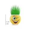 Çim Adam Saksı Emoji Figürlü 1 Adet Sevimli Hediye Bitki Seti Doğa Sever
