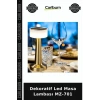 Dekoratif Led Masa Lambası MZ-701 Salon Lambası Stil Sahibi Lamba