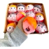 Kırmızı Başlıklı Kız Tasarımlı Squishy - 12li Paket Sevimli Eğlence Figürlü