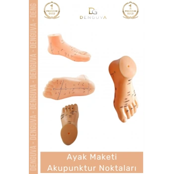 #MaketAyak Profesyonel Medikal Plastik Anatomik Refleksoloji 20Cm Ayak Maketi Akupunktur Noktası