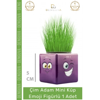 #ÇimAdam Hediyelik Eğitici Dekoratif Canlı Bitki Saksı Çim Adam Mini Küp Emoji Figürlü - 1 Adet