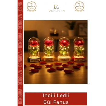#Fanus Dekoratif Hediyelik Sevgililer Günü Estetik Aydınlatma Fanus İncili Ledli Gül Fanus